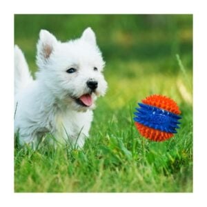 Nerf Dog Spike Squeak perro buscando pelota