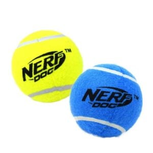 Nerf Dog Squeak Tennis Bal pelotas de cerca