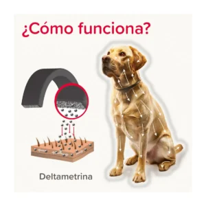 Beaphar Canishield Collar antiparasitario Perro grande