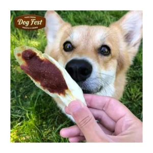 Dog Fest Puppy Rabbit Ears With Chicken