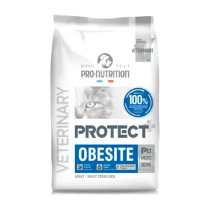 Protect Obesite Gatos con obesidad