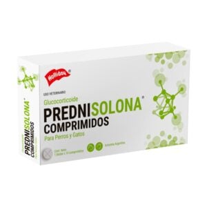 Holliday Prednisolona