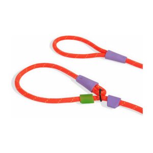 Zeedog Correa Slip-N-Lock modelo Everest