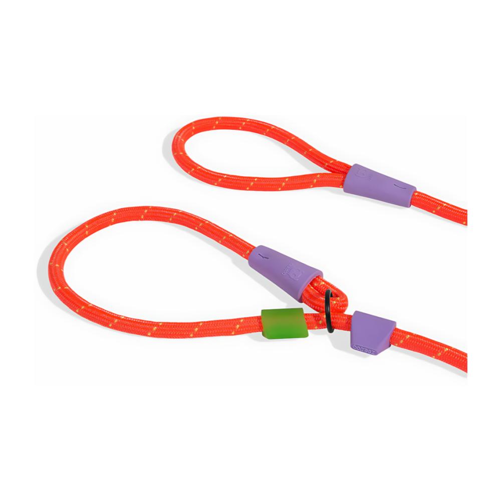 Zeedog Correa Slip-N-Lock modelo Everest