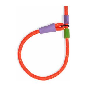 Zeedog Correa Slip-N-Lock modelo Everest