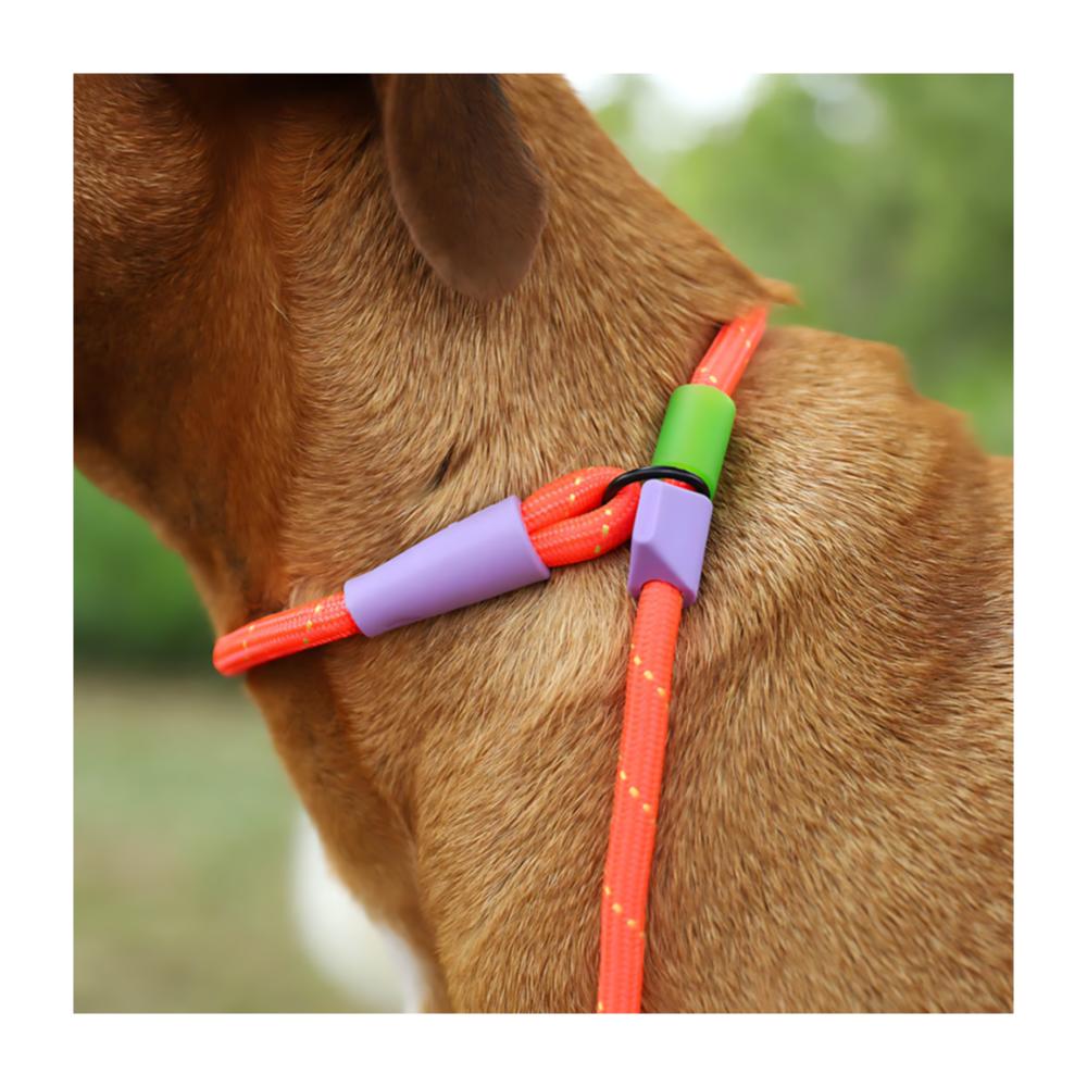 Zeedog Correa Slip-N-Lock modelo Everest