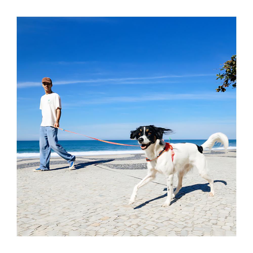 Zeedog Correa extensible para Perros modelo Drago - Imagen 6