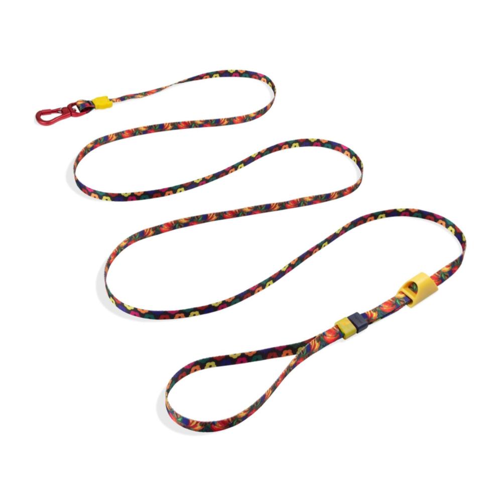 Correa zeedog extensible modelo Samba