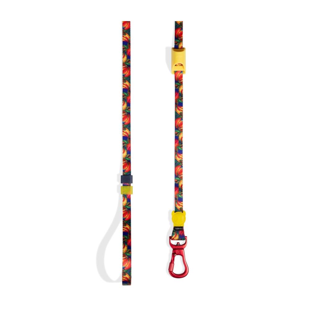 Correa zeedog extensible modelo Samba