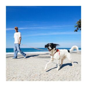 Correa zeedog extensible modelo Samba