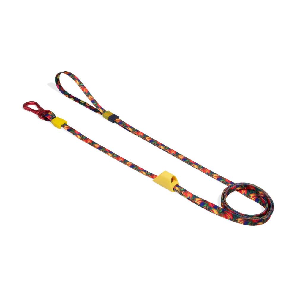 Correa zeedog extensible modelo Samba