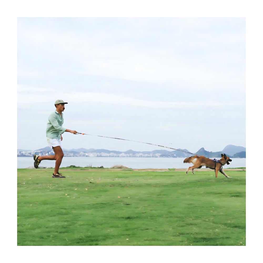 Zeedog Correa extensible para Perros modelo Primo - Imagen 5