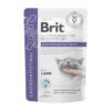 Brit Vet Diet GF Pouch Fillets In Gravy Gastrointestinal