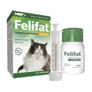 Felifat