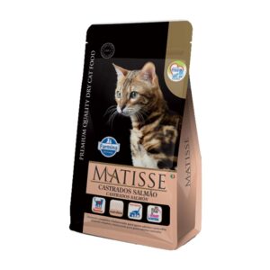 Matisse Salmón