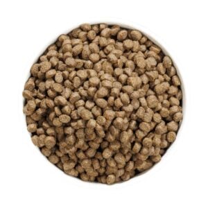 croqueta
