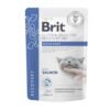 Brit Vet Diet GF Pouch Fillets In Gravy Recovery