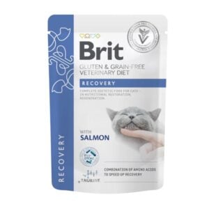 Brit Vet Diet GF Pouch Fillets In Gravy Recovery