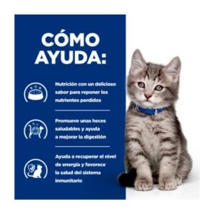 Como ayuda