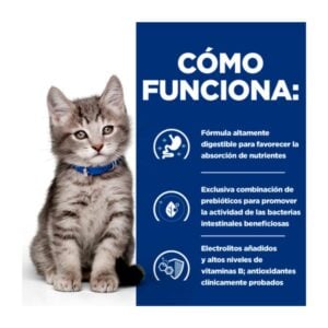 Como funciona