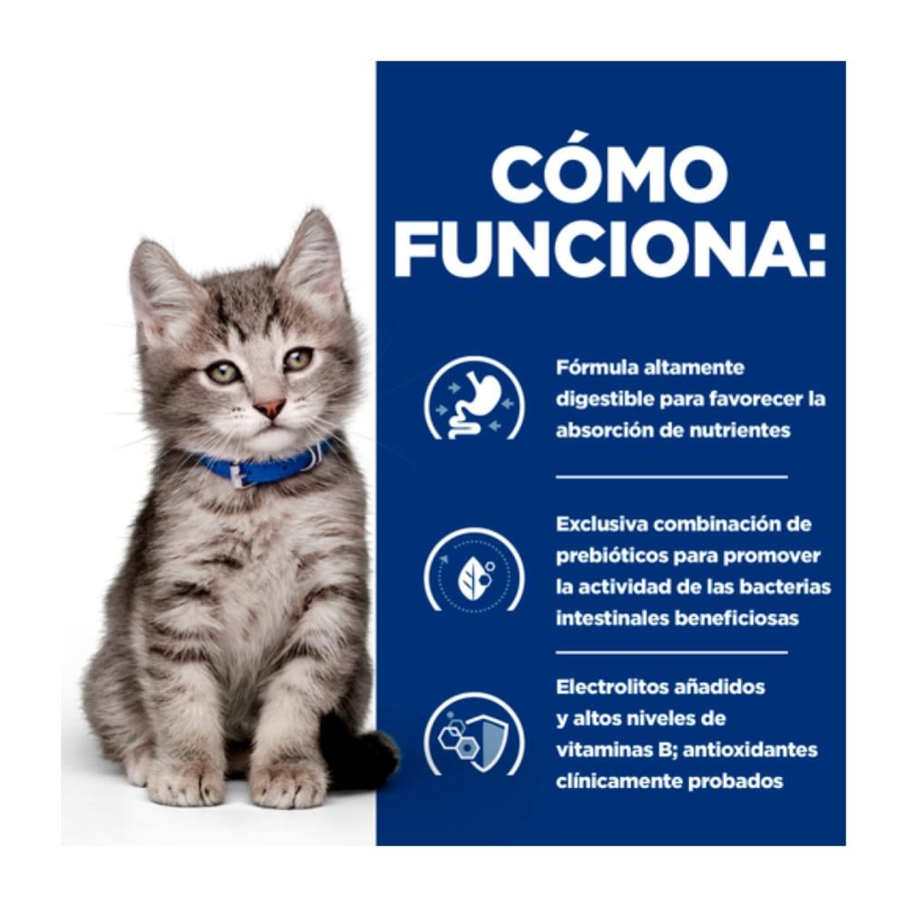 Como funciona