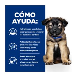 Como ayuda