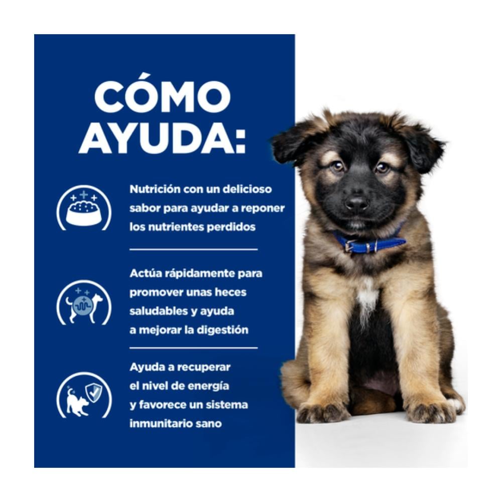 Como ayuda