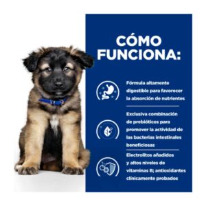 Como funciona
