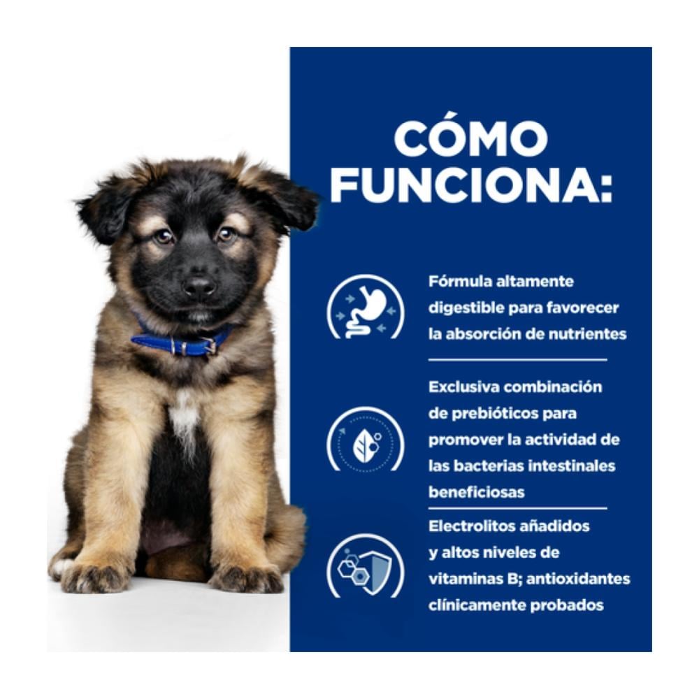 Como funciona