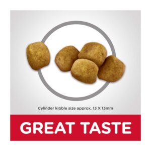 croqueta