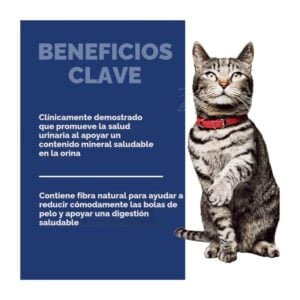 Beneficios claave