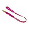 ZEEDOG Air Leash H3D Jelly - Correa con amortiguación para perros