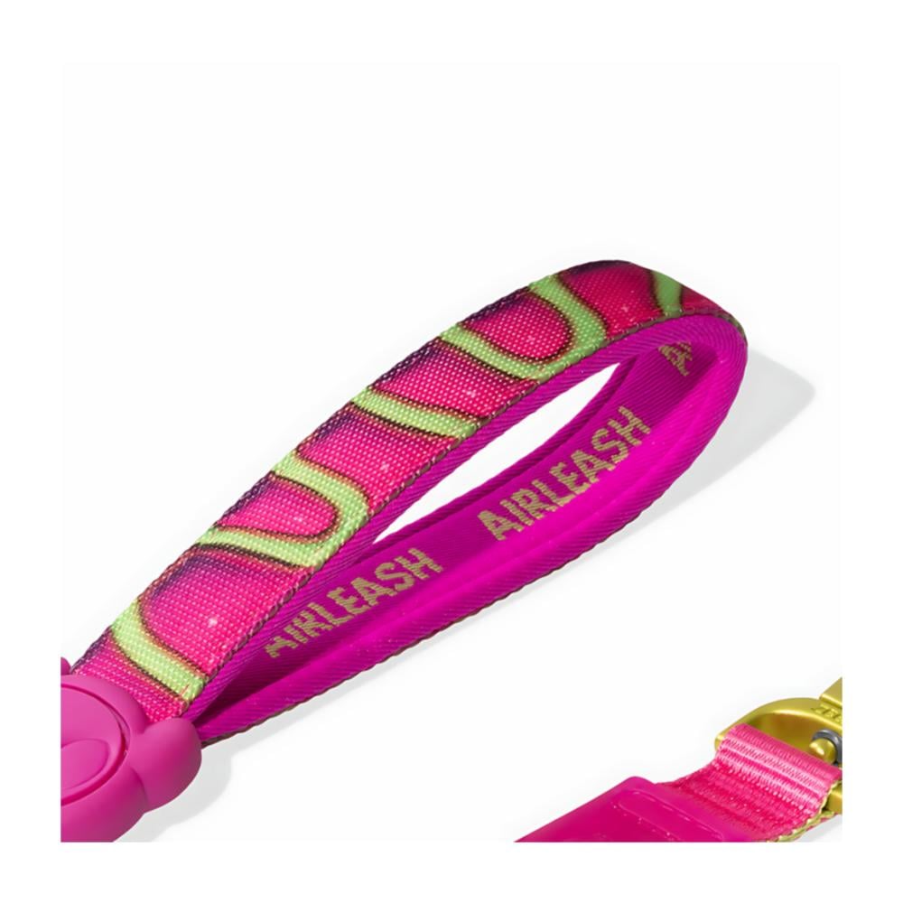 ZEEDOG Air Leash H3D Jelly - Correa con amortiguación para perros - Imagen 2