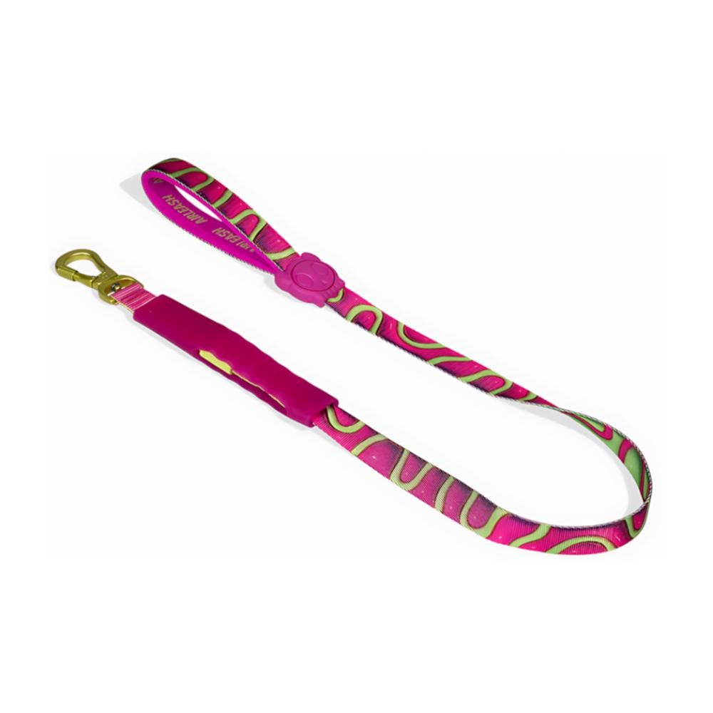 ZEEDOG Air Leash H3D Jelly - Correa con amortiguación para perros