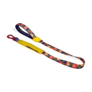 ZEEDOG AirLeash Samba – Correa con amortiguación para perros