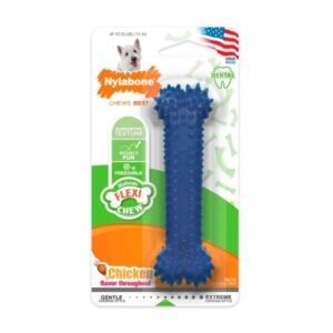 Nylabone Dental Chew Bone Chicken Regular