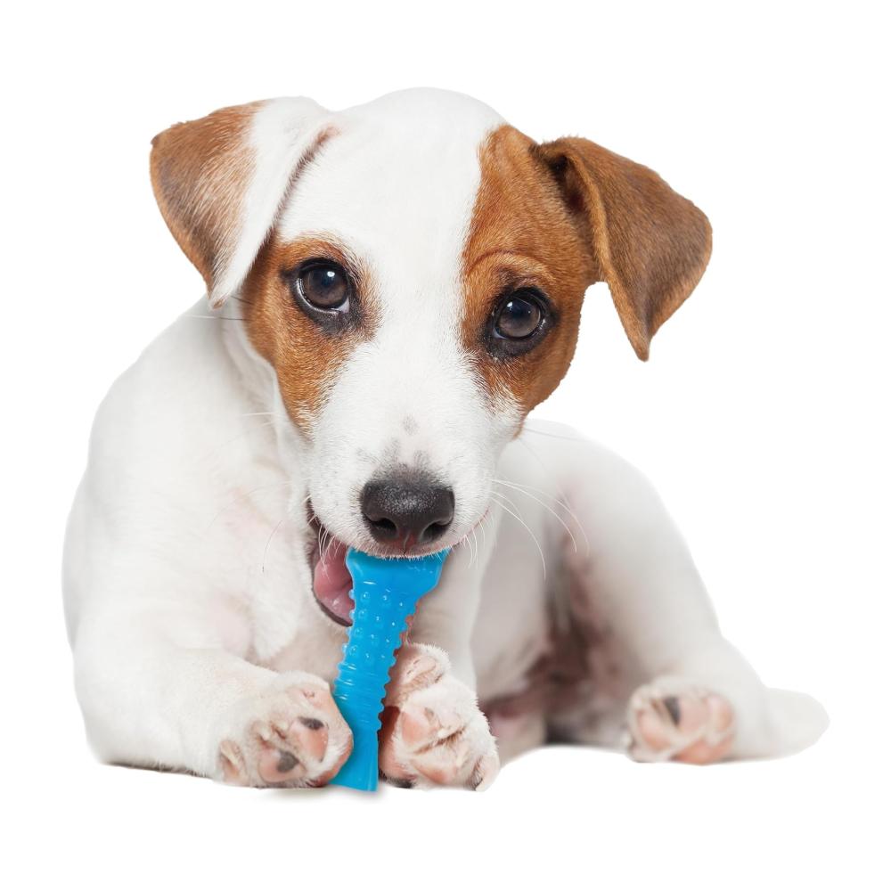 Nylabone Moderate Chew Color Changing Souper Bacon - Imagen 3