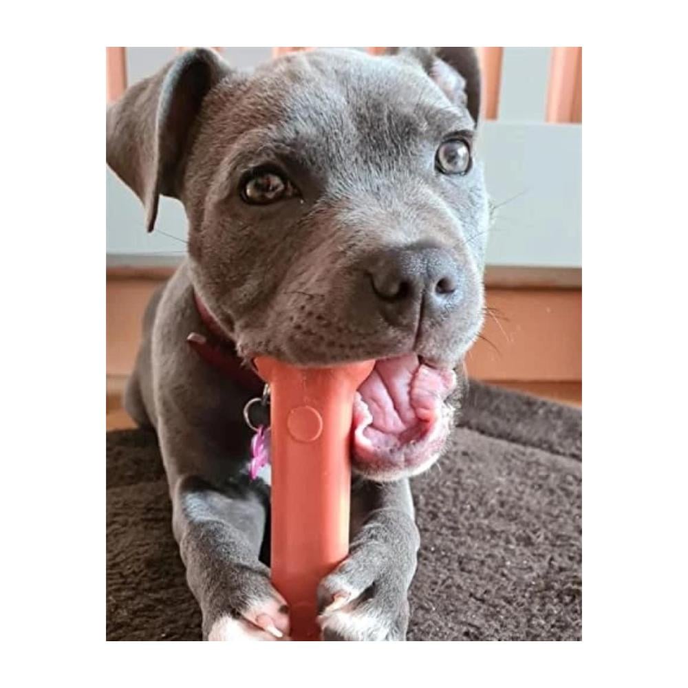 Nylabone Power Chew Bone Bacon Wolf - Imagen 3