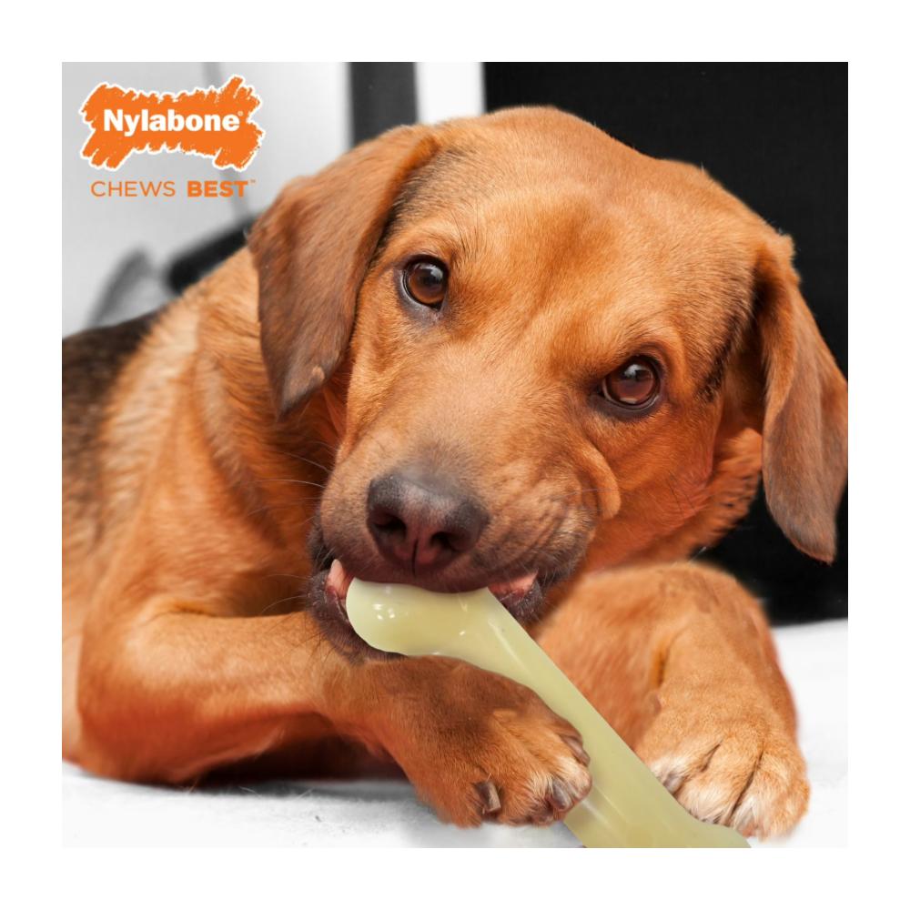 Nylabone Power Chew Bone Original Medium - Imagen 3