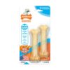 Nylabone Puppy Chew Bone Twin Pack Chicken XS