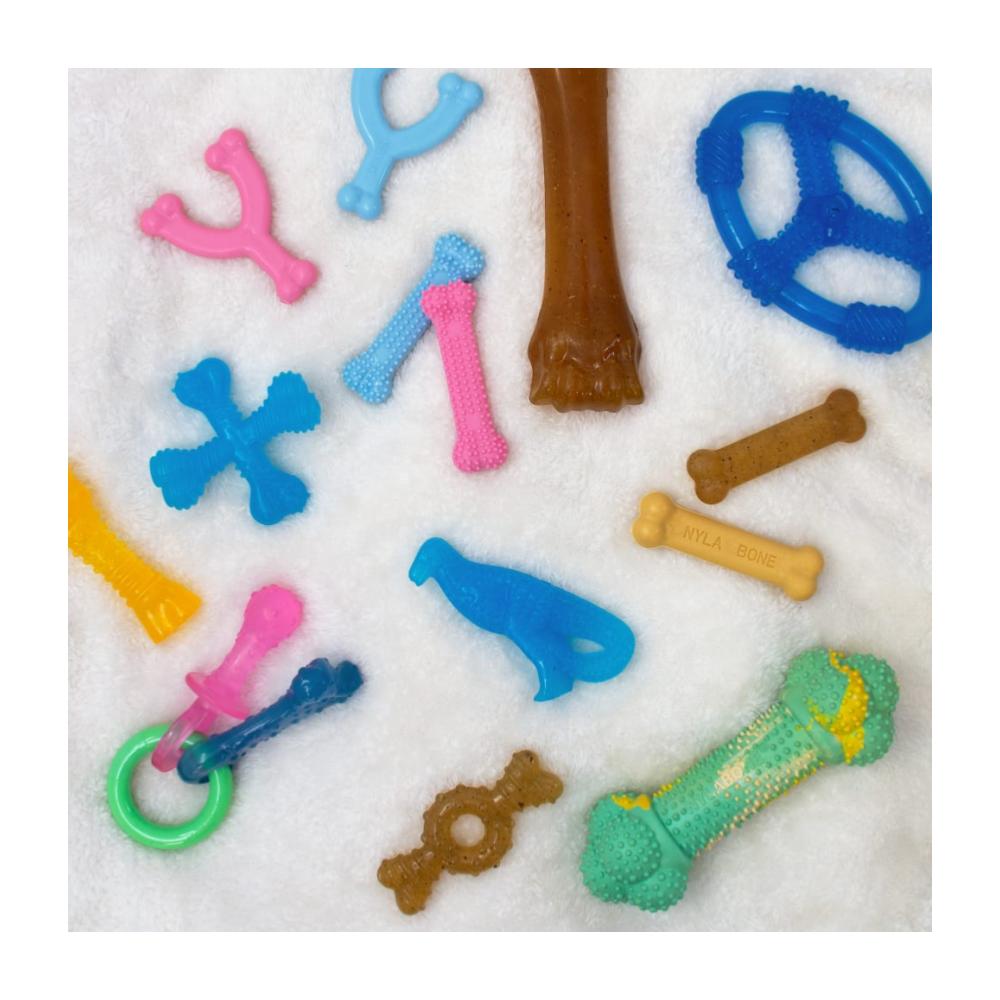 Nylabone Puppy Chew Ring Bone Chicken Small - Juguete para Perros - Imagen 5
