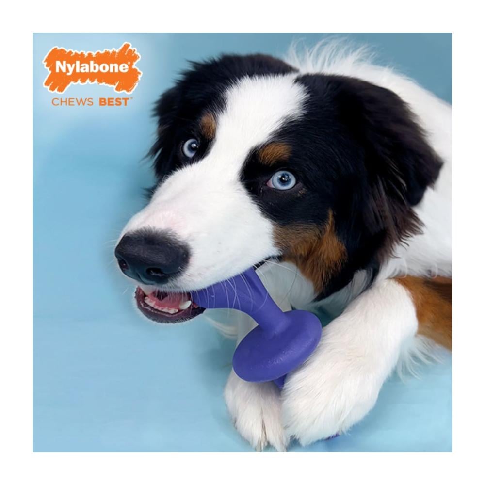 Nylabone Rolley Bacon Large - Juguete para Perros - Imagen 3