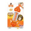 Nylabone Sneaky Snacker Medium
