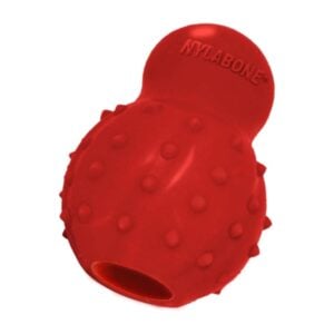 Nylabone Strong Chew Cone Bacon