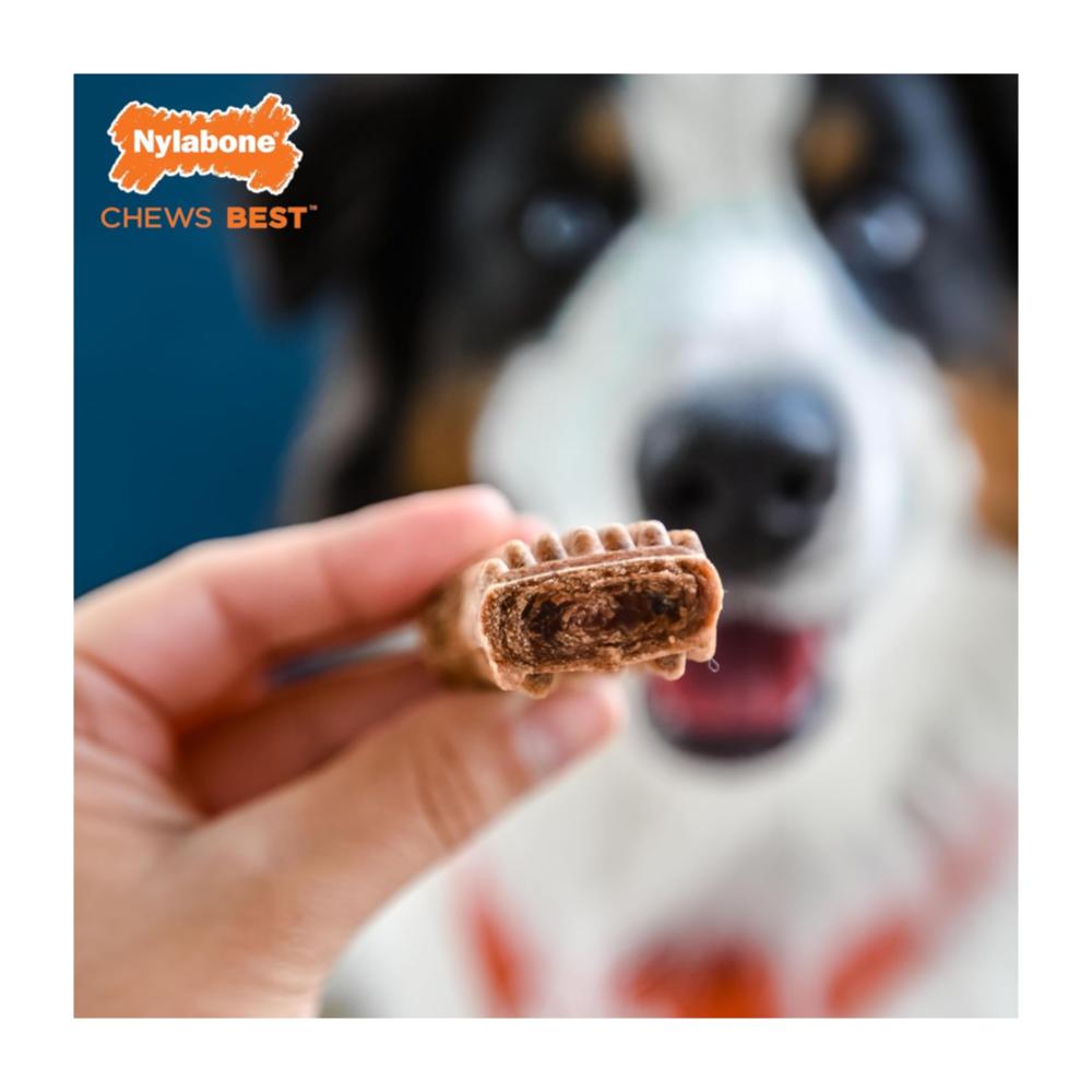 Nylabone Healthy Edibles Meaty Center Beef 104gr - Imagen 2