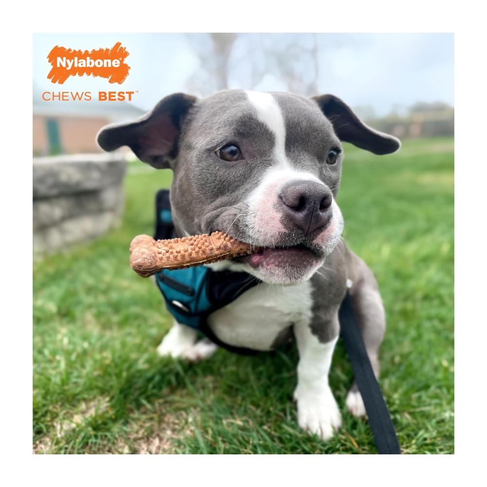 Nylabone Healthy Edibles Meaty Center Beef 94gr - Imagen 4
