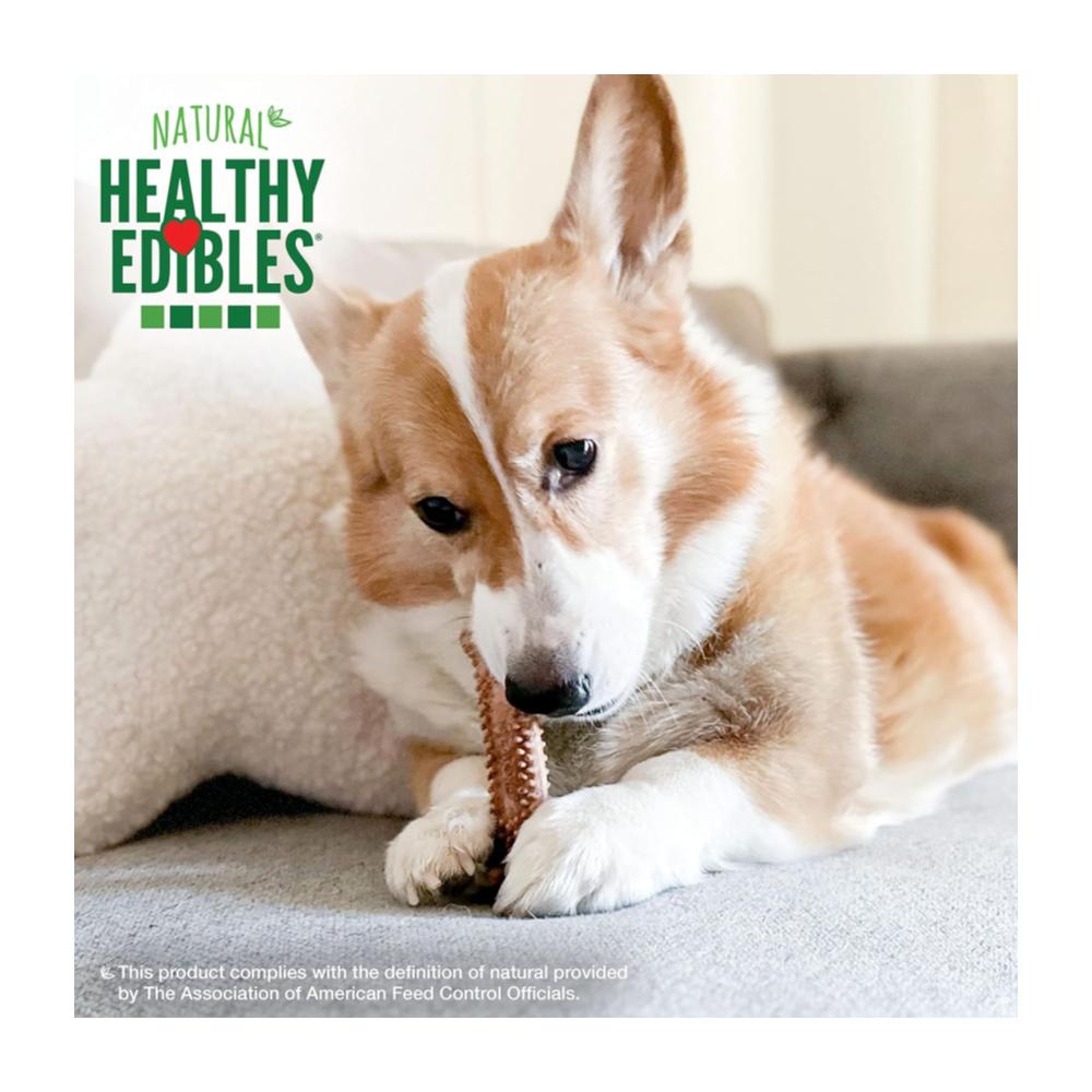 Nylabone Healthy Edibles Meaty Center Beef 94gr - Imagen 5