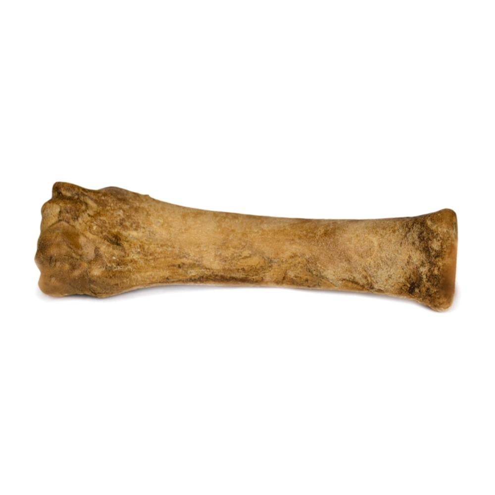 Nylabone Healthy Edibles Puppy Lamb & Apple 190gr - Cachorro - Imagen 2