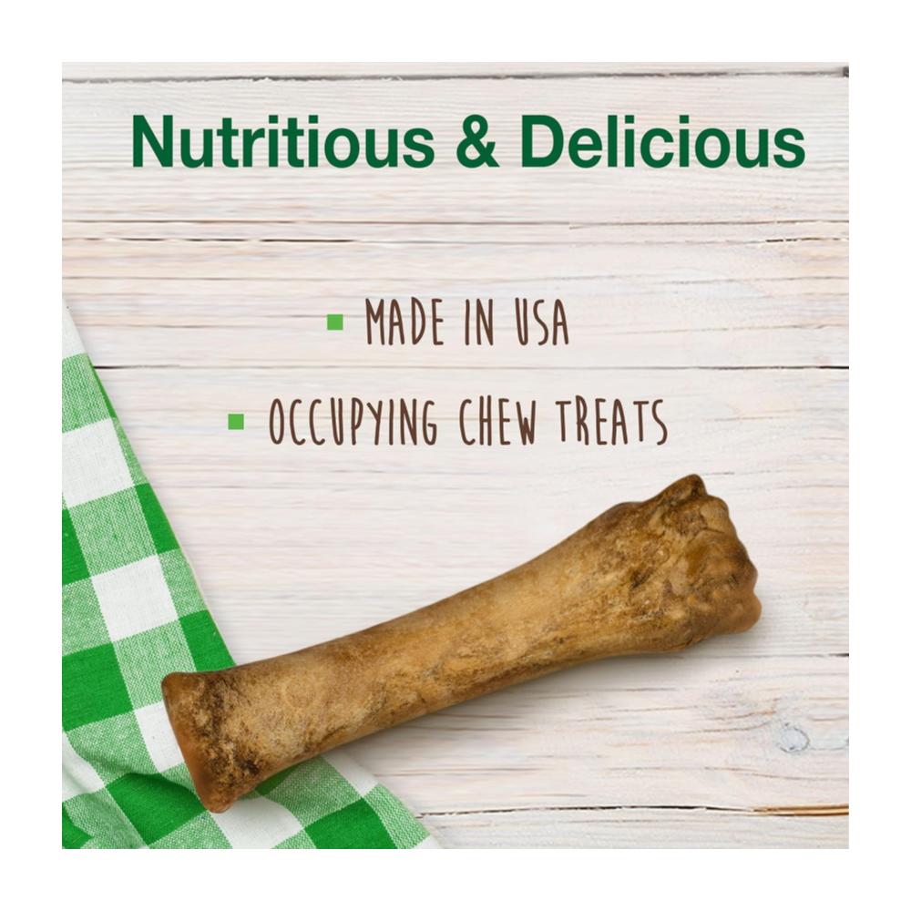 Nylabone Healthy Edibles Puppy Lamb & Apple 190gr - Cachorro - Imagen 3