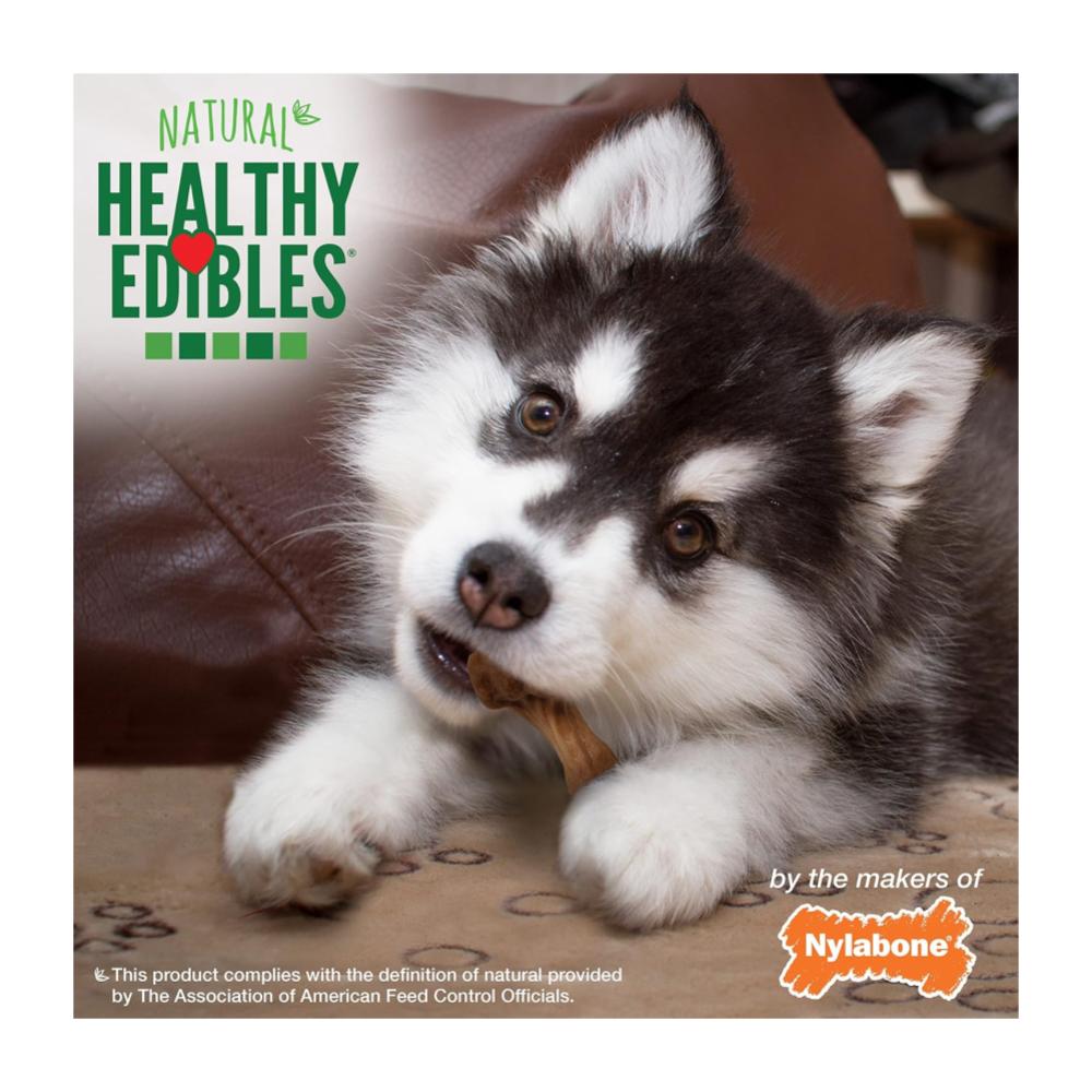 Nylabone Healthy Edibles Puppy Wild Turkey 80gr - Imagen 4
